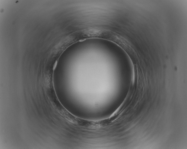 X0000074020604200608211449