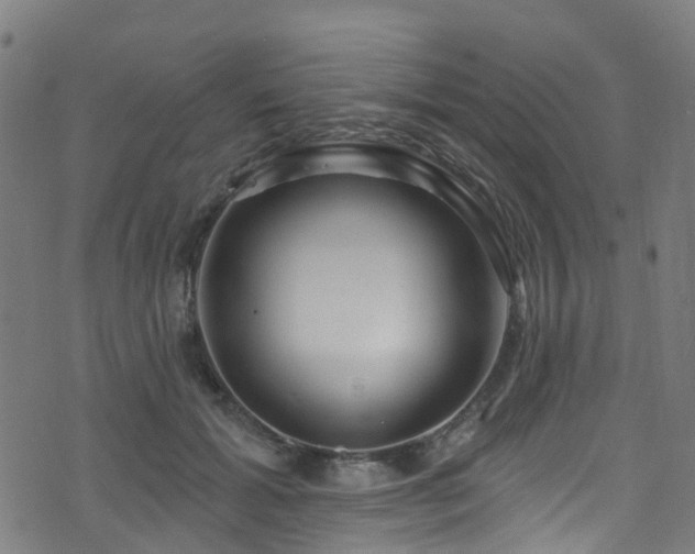 X0000074020605200608211449