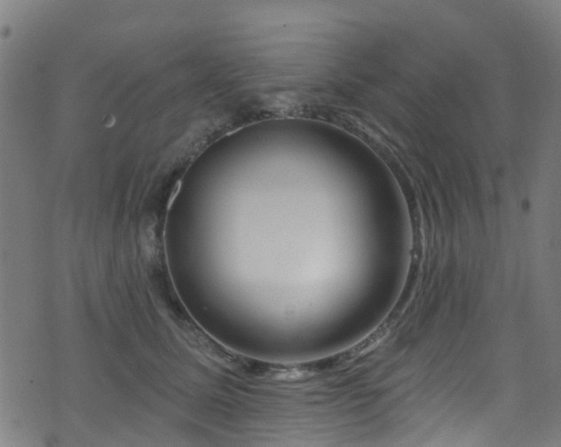 X0000074020611200608211449
