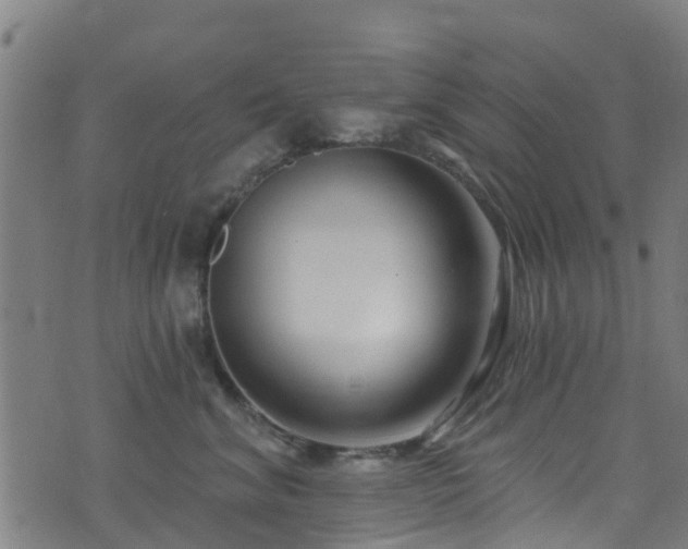 X0000074020620200608211448