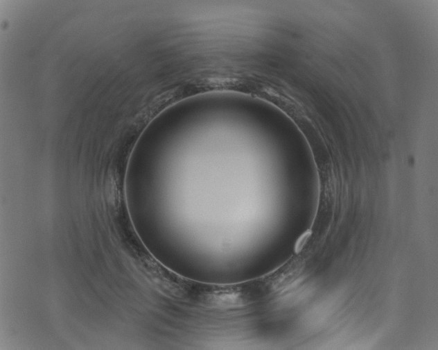 X0000074020651200608211448