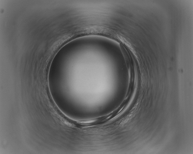 X0000074020673200608211448