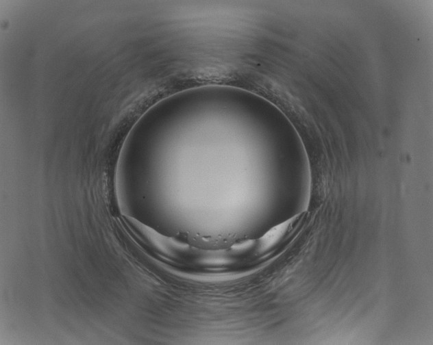 X0000074020689200608211447