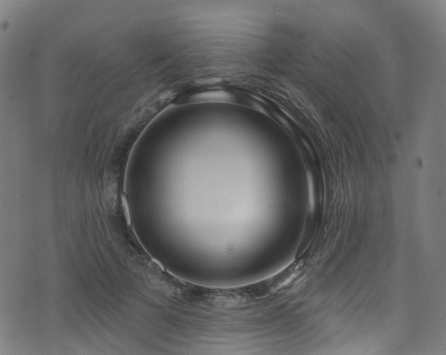 X0000074020697200608211447