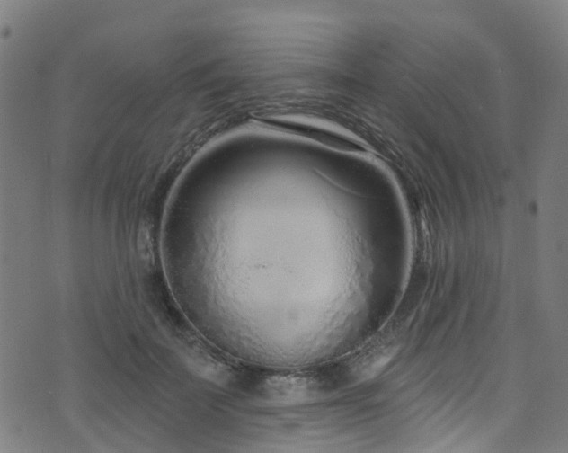 X0000074020699200608211447
