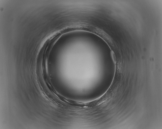 X0000074020724200608211446