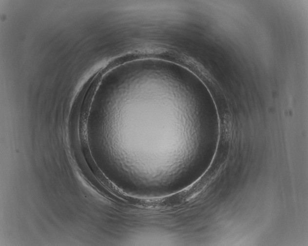 X0000074020726200608211446