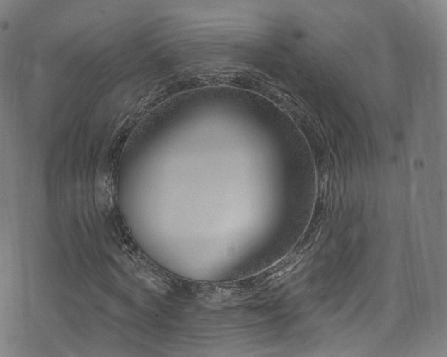 X0000074020772200608211446