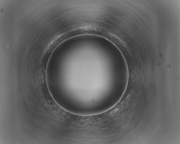 X0000074020776200608211446
