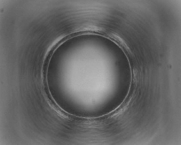 X0000074020780200608211446