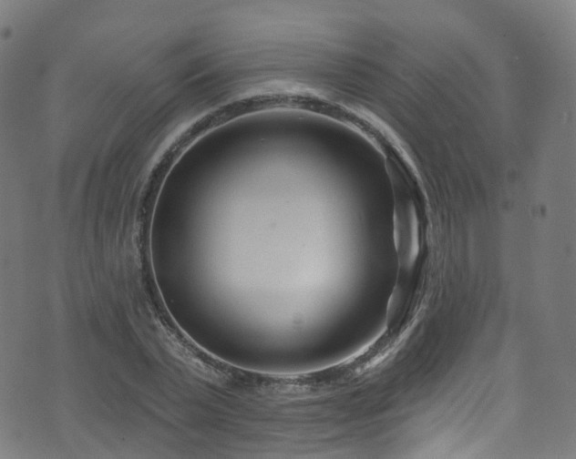 X0000074020783200608211446