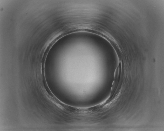 X0000074020790200608211446