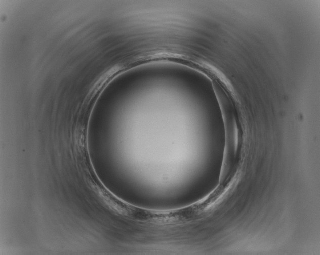 X0000074020793200608211446