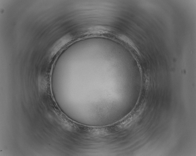 X0000074020874200608211444