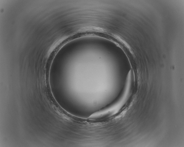 X0000074020877200608211444