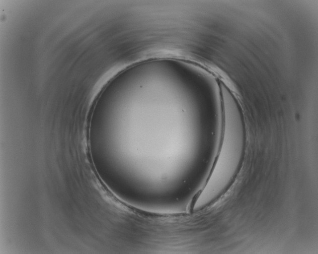 X0000074020904200608211444