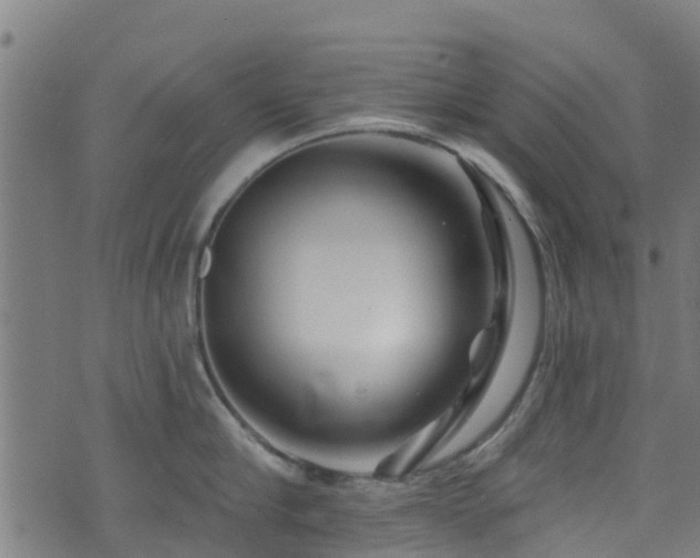 X0000074020910200608211444