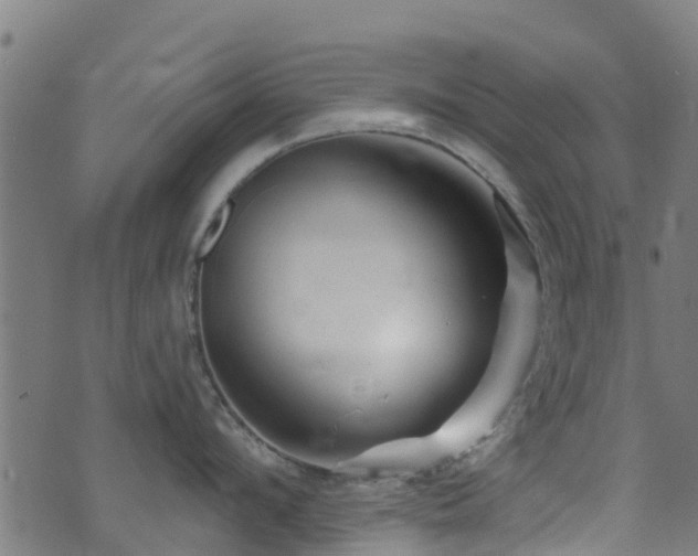 X0000074020912200608211444