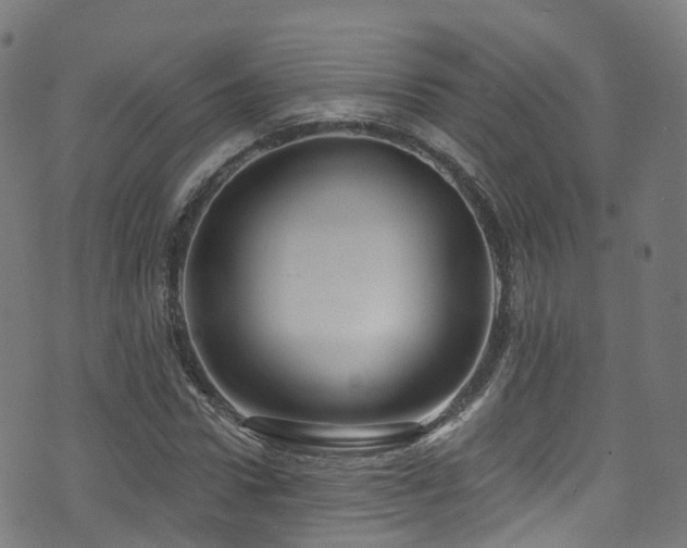 X0000074020922200608211443