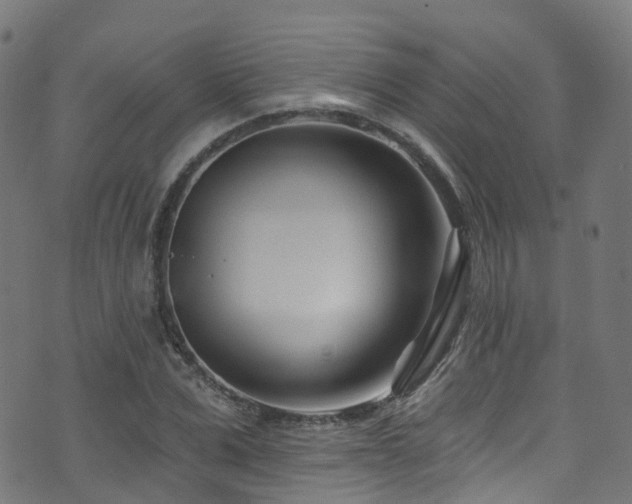 X0000074020975200608211443