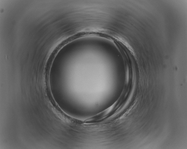 X0000074020976200608211443