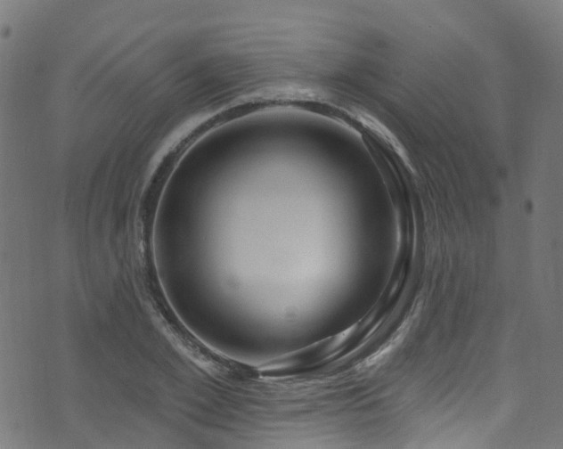 X0000074020981200608211443