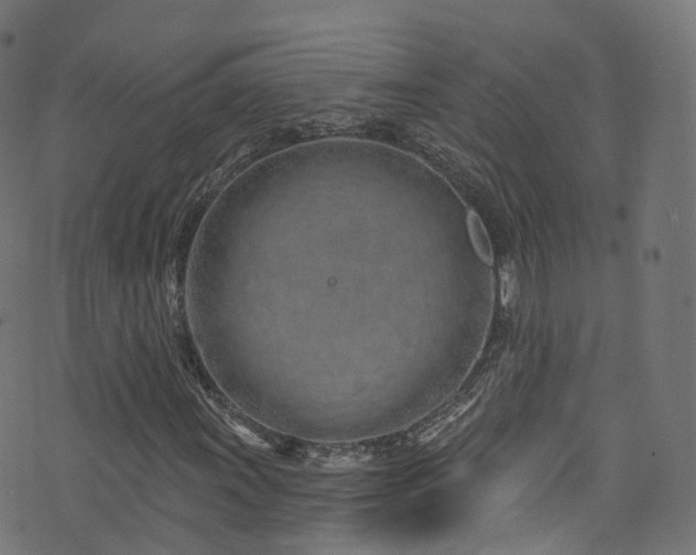 X0000074021011200608211441