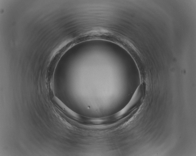 X0000074021018200608211441
