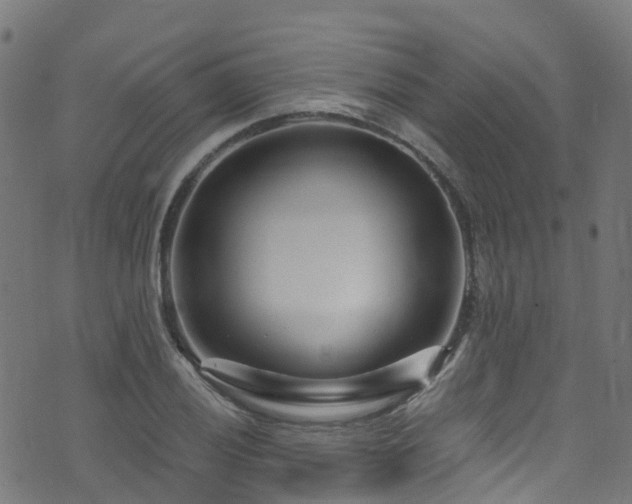 X0000074021028200608211442