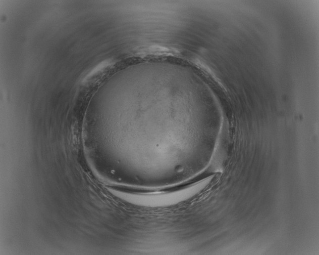 X0000074021063200608211441