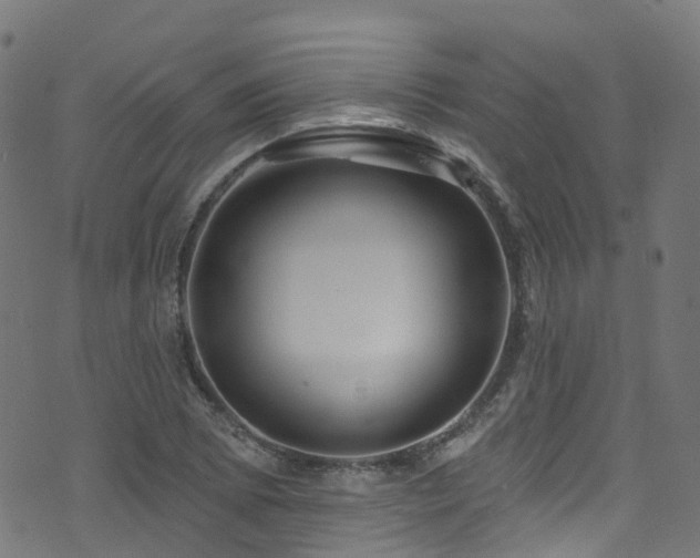 X0000074021073200608211441