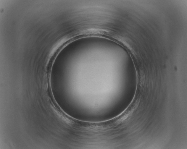 X0000074021075200608211441