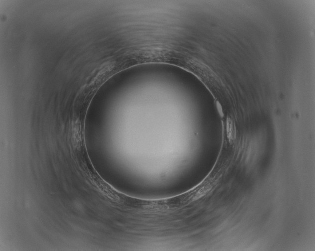 X0000074021107200608211440