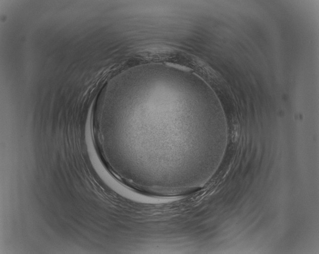 X0000074021108200608211440