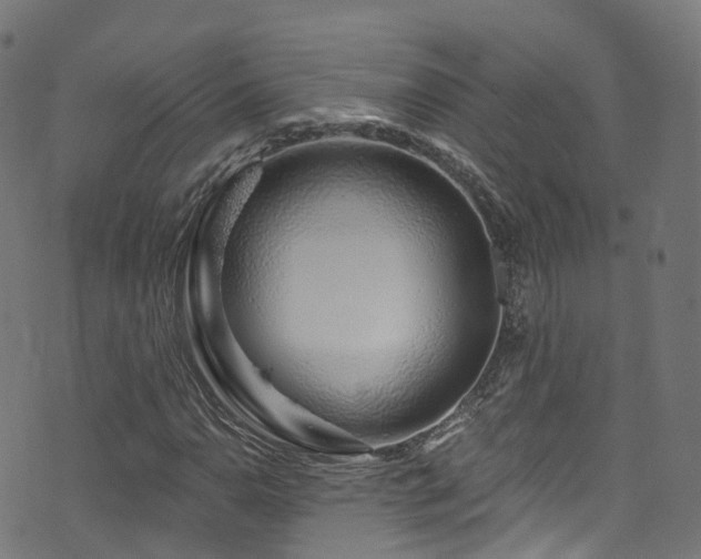 X0000074021110200608211440