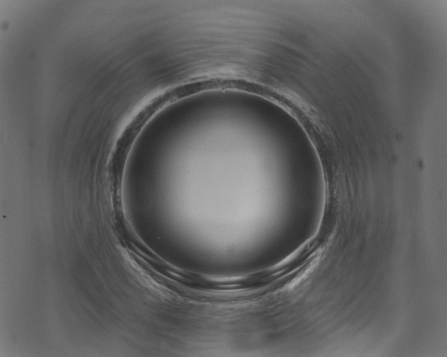 X0000074021118200608211440