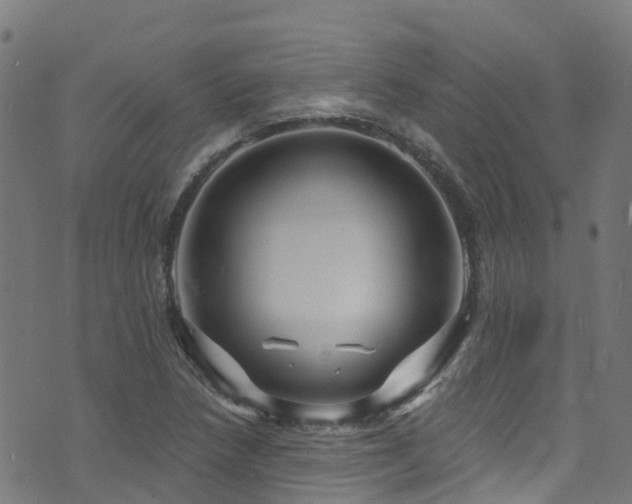 X0000074021218200608211438
