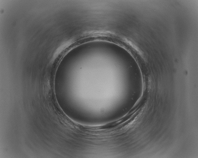 X0000074021261200608211438