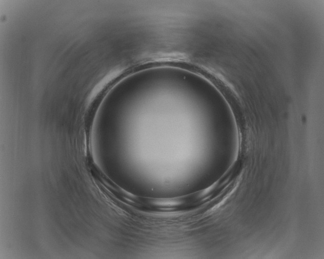 X0000074021317200608211437
