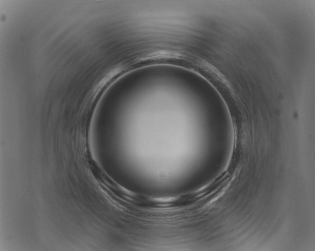 X0000074021321200608211437