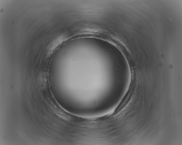 X0000074021355200608211436