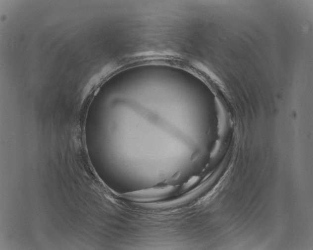 X0000074021357200608211436
