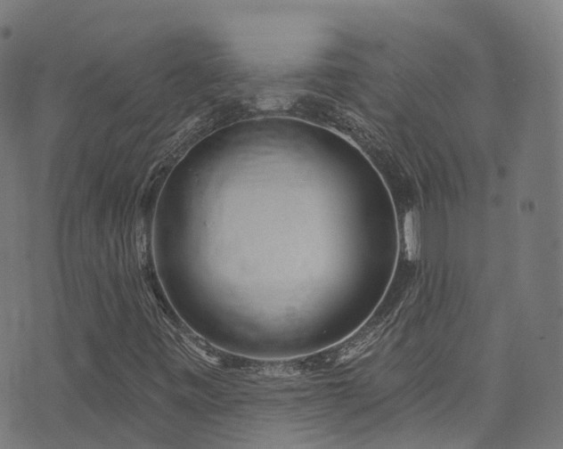 X0000074021443200608211435