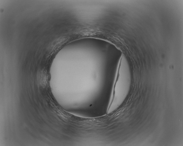 X0000074021444200608211435