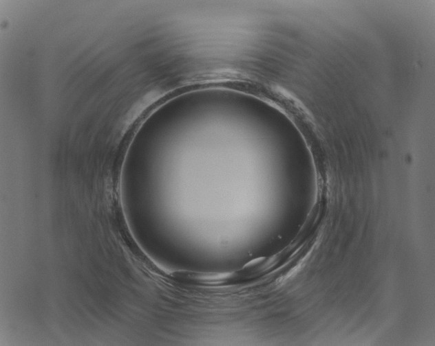 X0000074021457200608211435