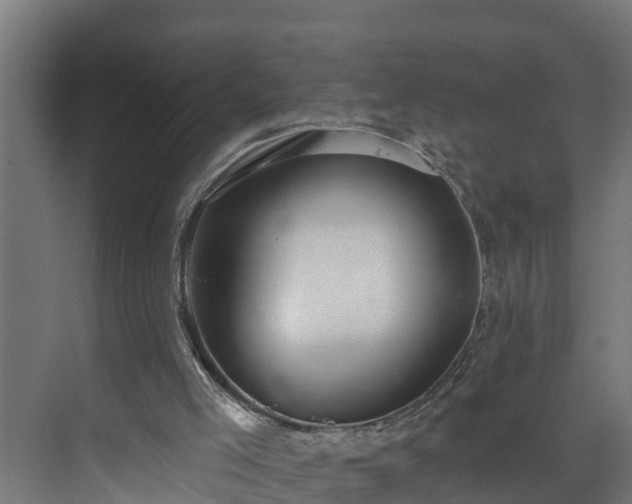 X0000074020005200608281443
