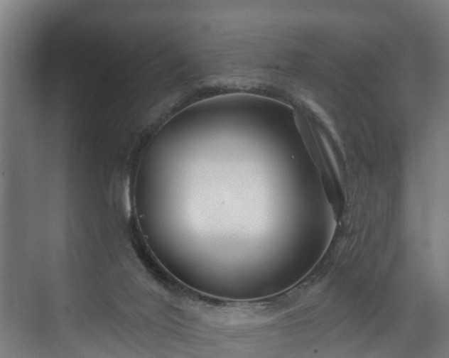 X0000074020020200608281443