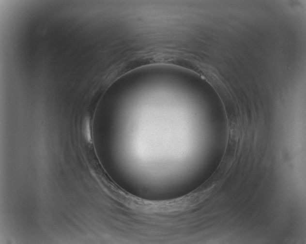 X0000074020046200608281443