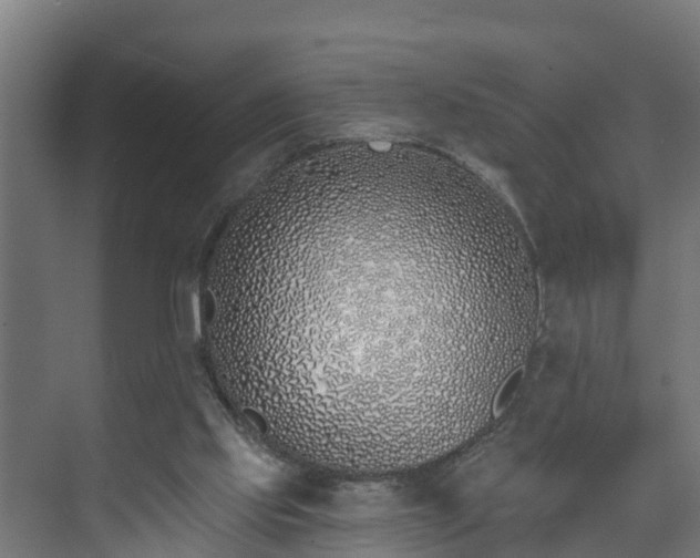 X0000074020061200608281442
