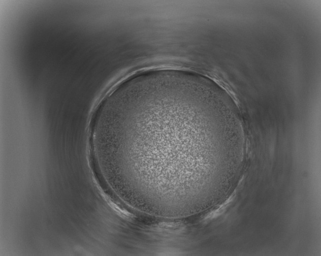 X0000074020101200608281442